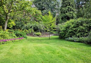 Optimiser l'expérience du jardin à Chevilly